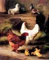 unknow artist Hens and Chicken Spain oil painting art